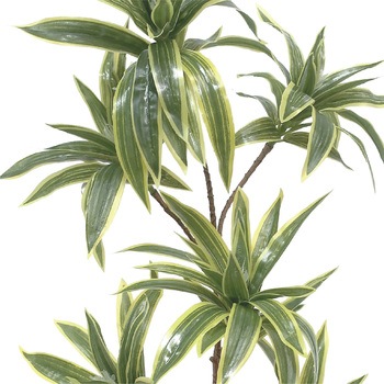 人工観葉植物 Mサイズ ササガワ