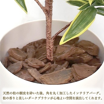 人工観葉植物 Mサイズ ササガワ