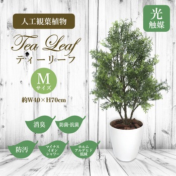 人工観葉植物 Mサイズ ササガワ