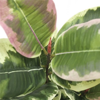人工観葉植物 Mサイズ ササガワ