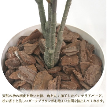 人工観葉植物 Mサイズ ササガワ