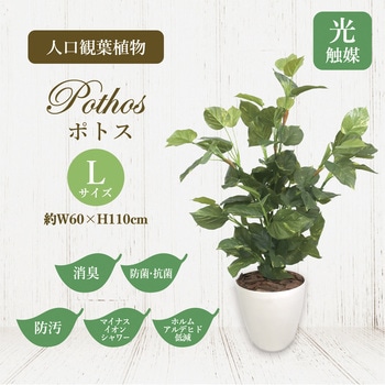 人工観葉植物 Lサイズ ササガワ
