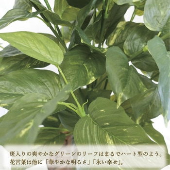 人工観葉植物 Lサイズ ササガワ