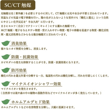 人工観葉植物 Lサイズ ササガワ