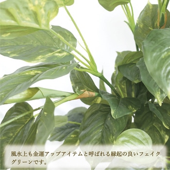 人工観葉植物 Lサイズ ササガワ