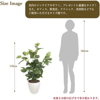 人工観葉植物 Lサイズ ササガワ