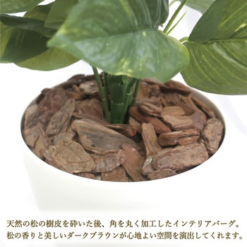 人工観葉植物 Lサイズ ササガワ