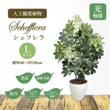 人工観葉植物 Lサイズ ササガワ