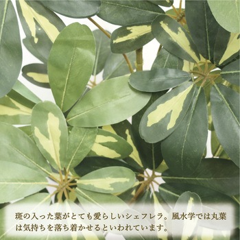 人工観葉植物 Lサイズ ササガワ