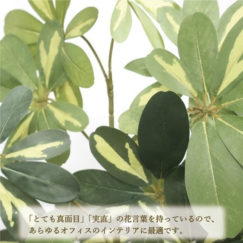 人工観葉植物 Lサイズ ササガワ