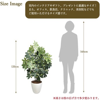 人工観葉植物 Lサイズ ササガワ