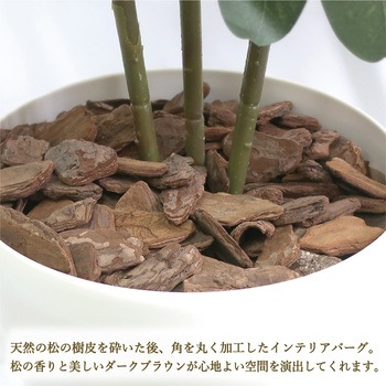人工観葉植物 Lサイズ ササガワ