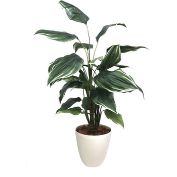 人工観葉植物 Lサイズ ササガワ