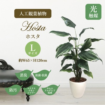人工観葉植物 Lサイズ ササガワ