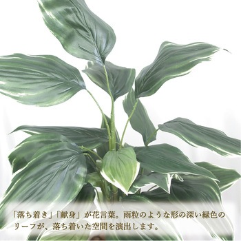 人工観葉植物 Lサイズ ササガワ