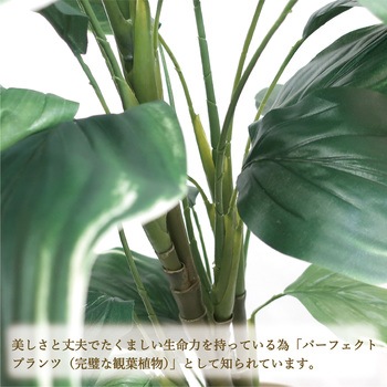 人工観葉植物 Lサイズ ササガワ