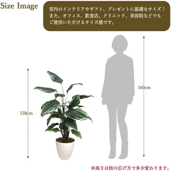 人工観葉植物 Lサイズ ササガワ