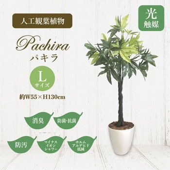 人工観葉植物 Lサイズ ササガワ