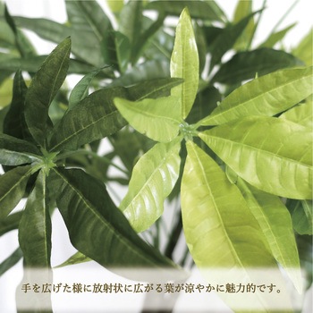 人工観葉植物 Lサイズ ササガワ