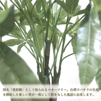 人工観葉植物 Lサイズ ササガワ