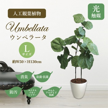 人工観葉植物 Lサイズ ササガワ