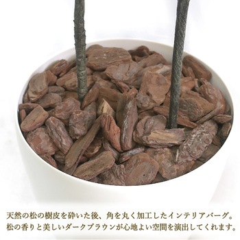 人工観葉植物 Lサイズ ササガワ