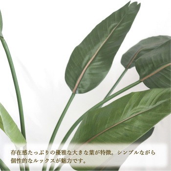 人工観葉植物 Lサイズ ササガワ