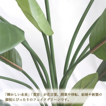 人工観葉植物 Lサイズ ササガワ