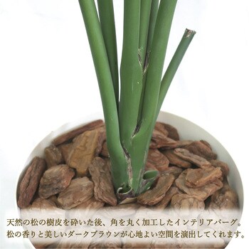 人工観葉植物 Lサイズ