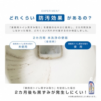 業務用 トイレ黒ずみ取り アイメディア