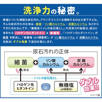 業務用トイレの尿石落とし  A-02 アイメディア