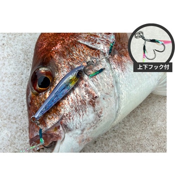 TGポテンシャル 40g オンザブルー