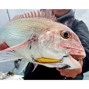 TGポテンシャル 40g オンザブルー