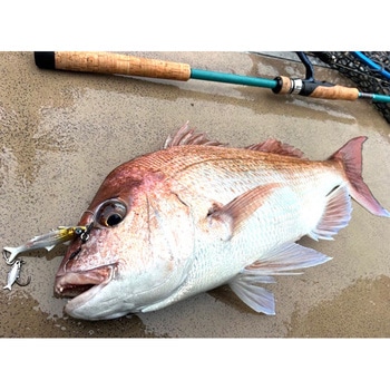 TIMELESS(タイムレス) オンザブルー