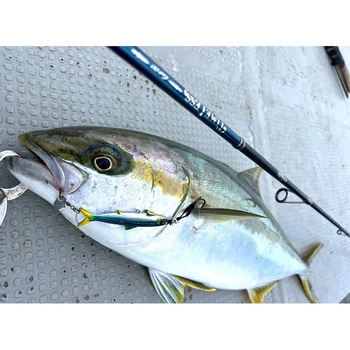 TIMELESS(タイムレス) オンザブルー