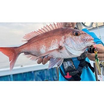 グローエンペラーJerk(ジャーク) 210g - オンザブルー