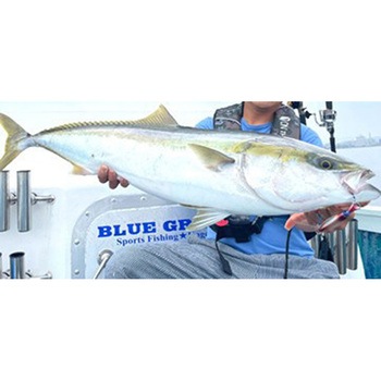 グローエンペラーJerk(ジャーク) 210g - オンザブルー