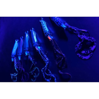 ライブエンペラー 80g オンザブルー