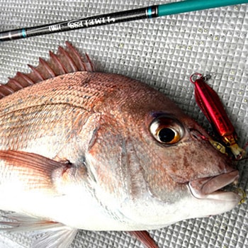 ライブエンペラー 80g オンザブルー