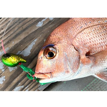 真鯛ロジック 100g オンザブルー