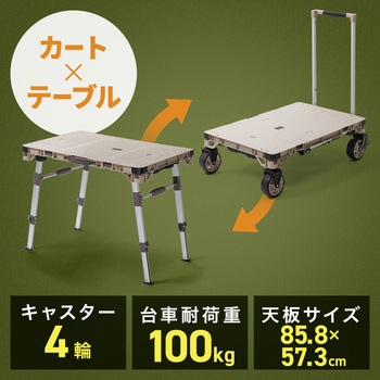 台車 折りたたみ 取っ手付き サンワダイレクト