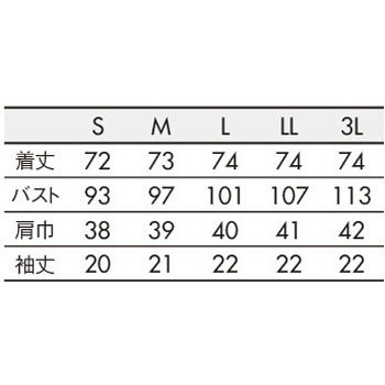 スクラブ レディス 半袖 住商モンブラン