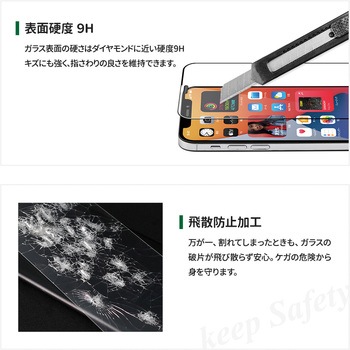 iPhone12 mini 対応 液晶画面保護強化ガラス 全面保護 OWLTECH(オウルテック)
