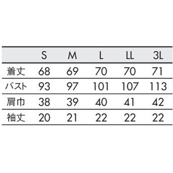 スクラブ レディス 半袖 - 住商モンブラン