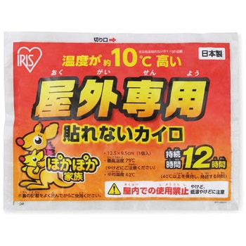 ぽかぽか家族 屋外専用カイロ貼れないレギュラー10個入 1袋(10個