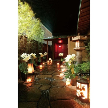 銀座「花蝶」和洋おせち(ほのか) ノーブランド