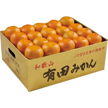 お正月用和歌山県産 有田みかん(金箱) - ノーブランド