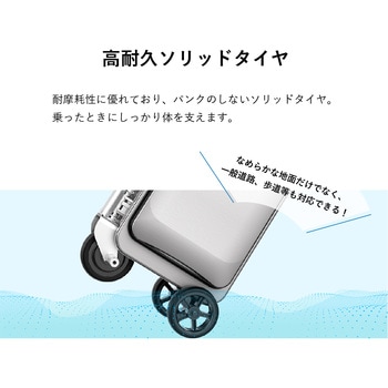 "乗れる"スーツケース サイエルインターナショナル