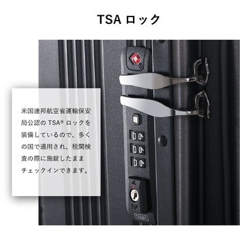 "乗れる"スーツケース サイエルインターナショナル