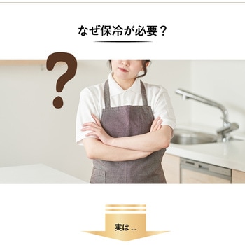 保冷米びつ ライスクーラー サイエルインターナショナル